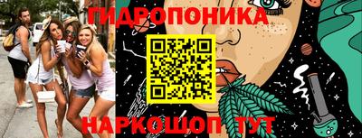 спиды Заводоуковск