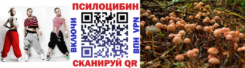 Галлюциногенные грибы Psilocybine cubensis  где найти   Родники 
