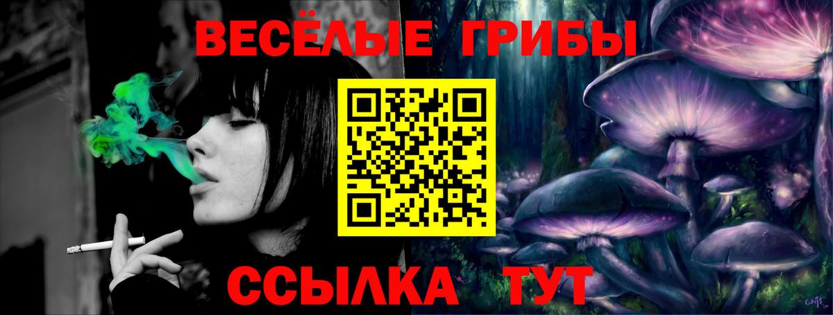 Псилоцибиновые грибы Magic Shrooms  Псилоцибиновые грибы Psilocybe  Родники  Вход с VPN 