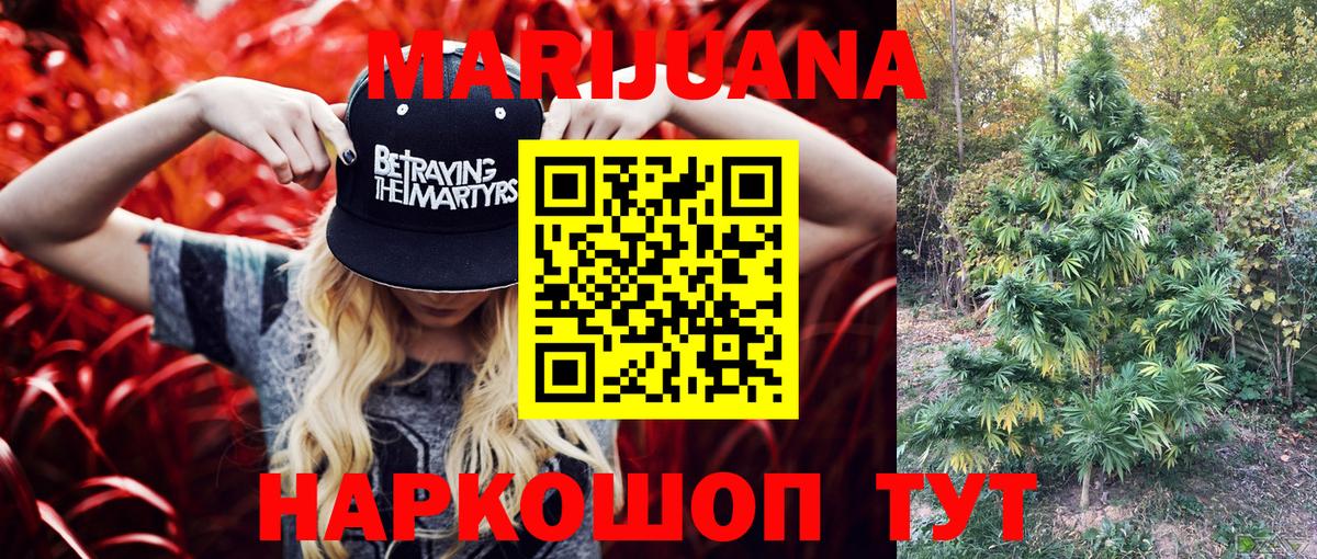 Конопля гибрид Родники